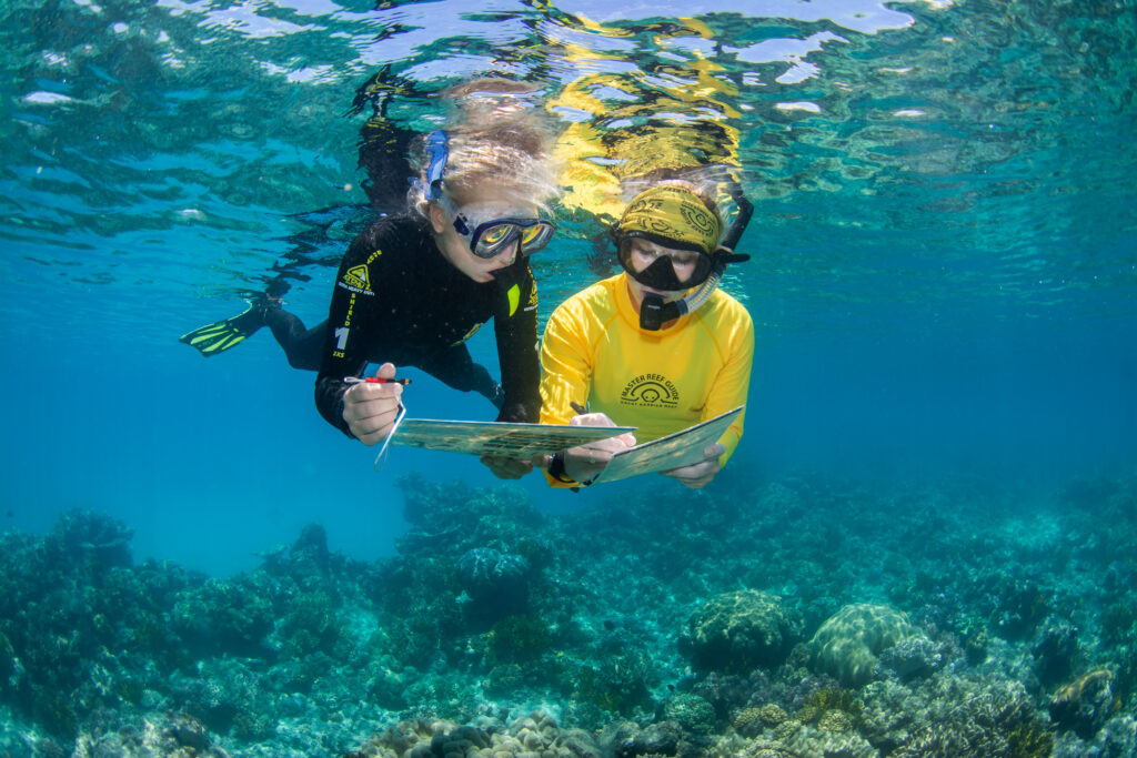 Four Australian cruise firms join Ecotourism Hall of Fame